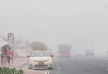 UAE Weather: Red Yellow Alerts Issued for Fog Rain Expected in some Areas