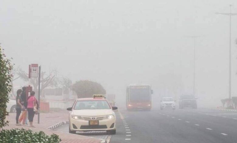 UAE Weather: Red Yellow Alerts Issued for Fog Rain Expected in some Areas