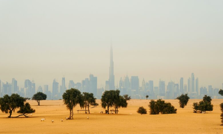UAE Weather: Dusty Conditions Expected; Fair to Partly Cloudy Day