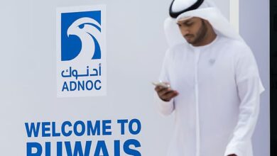 Why did UAE Decide to Exit OPEC? Government Officials, Industry Experts Reveal Reasons Behind Move