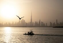UAE Weather: Partly Cloudy Skies Likely; Temperatures to Reach Up to 42ºC