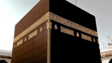 Saudi Hajj Ministry Outlines Regulatory Framework to Ensure Pilgrim Safety