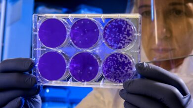 'Not another Covid-19': UAE Doctors Allay Hantavirus Fears, explain Low Spread Risk
