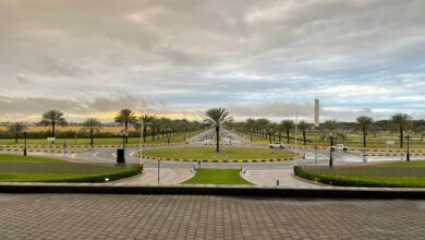 UAE Weather Forecast: Prepare for Mist and Dusty Winds Through the Week