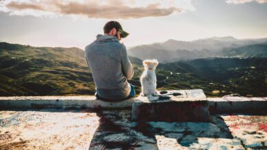 Left Behind, Again: The UAE’s Pet Abandonment Crisis and the Summer That Could Make It Worse 