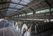 EGA Reaches 50% Completion of Al Taweelah Smelter Restart